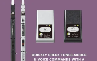 71GEbqfSr0L._AC_SL1500_